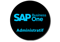 SAP Gold Partner