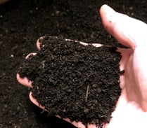 堆肥になると土と同じ色になります
