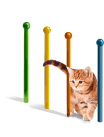 Artwork My Pet School 3D