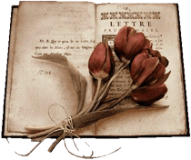 Dank für Ihre Meinung  ;)