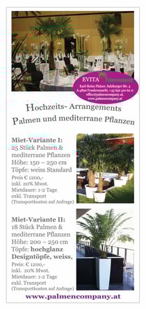 Hochzeit unter Palmen