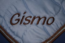 Bild: gesticktes Wort "Gismo" auf einer Pferdedecke