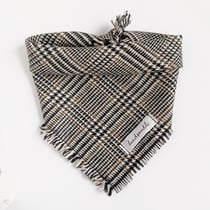 Halstuch Hund mit Karos passend zu Blazer