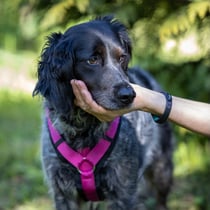 Foto © E. Hufschmid