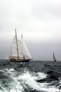 marion to Bermuda photo