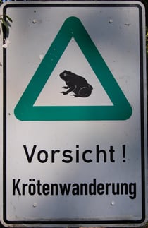 Bitte Hinweisschild beachten und Geschwindigkeit ab Dämmerungsbeginn auf möglichst 30 km/h senken, um tödliche Verwirbelungen der Kröten durch Ihr Auto zu vermeiden