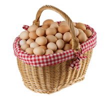 Bio Eier und Bio Nudeln aus Österreich