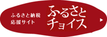 雲南市ふるさと納税サイト「ふるさとチョイス」