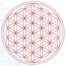 Leensblume oder Blume des Lebens