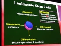 ASH 2011 cellules souches LMC leucemie guerison cancer traitement espoir lmc leucémie myéloïde chronique leucemie aigue sang moelle greffe