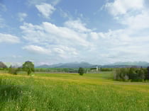 Kreativmodus "High Key"