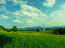 Kreativmodus "Cross-Prozess" - grünlich