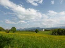 Programm-Modus "P" - kein Effekt aus dem Kreativmodus