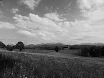 Kreativmodus "Monochrom"