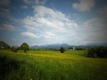 Kreativmodus "Spielzeugeffekt"