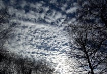 Altocumulus perlucidus