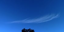 Cirrus fibratus