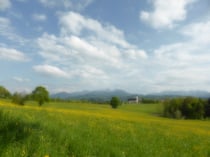 Kreativmodus "Weichzeichung"