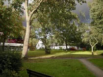 rot markiert die zu fällenden Bäume