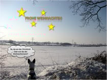 Was Toback da wohl gesehen hat?