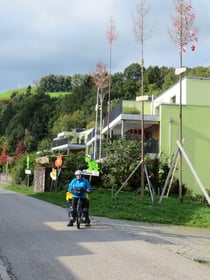 Das Dorf Zell ist Schweizermeister im Aufstellen von "Geburtsbäumen"!