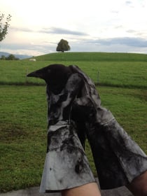 Bild: feuerwehr-bubikon.ch