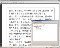 フォントをサブセット化して埋込み