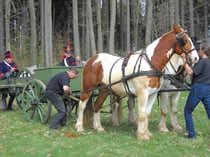 1. Versuch mit Kesselflicker und Doumbledore