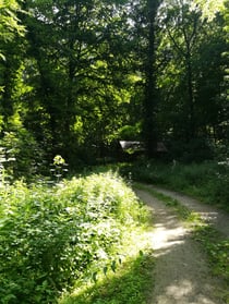 Wanderung in der Natur mit aufgespannter Leichtigkeit