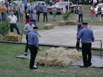 Die Dreschflegel-Gruppe aus Mehedorf