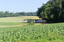 Pfingstlager 2011 Foto: Leo Wyden