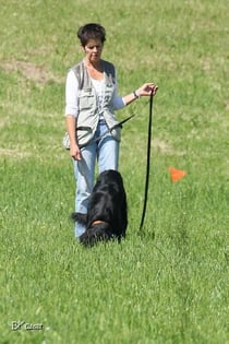 In der Fährtengruppe der Hundeschule Matte werden Hund und Mensch eine korrekte Aufnahme der Fährte, auf ein sicheres Halten der Fährte in gleichmässigem Tempo, auf korrektes Verweisen der Gegenstände