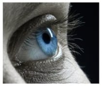 Différences entre Sophrologie et relaxation, hypnose, mindfulness à l'école de Sophrologie Caycédienne à Liège en Belgique