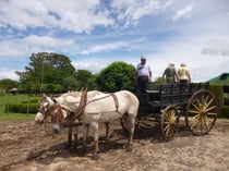 ※写真はイメージです