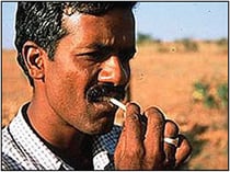 オーラルケア（歯ブラシ）として有効なニーム（枝）