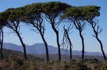 vue sur San Pere de Roda