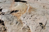 traces de dinosaures (Suisse)