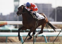 レッドフォルツァ