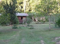 découverte de la nature en guyane avec un guide 