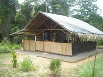 Hébergement en forêt