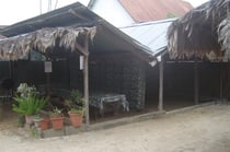 randonnée en guyane avec un guide naturaliste