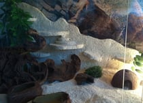 Ein guter Standort ist wichtig.