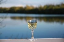 acrocarpe.com étang de pêche à la carpe dans la Somme et Pas de Calais