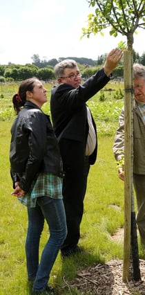 Diagnostic d'un arbre par Thierry Carlier (Crédit Photo : Marc Demeure)