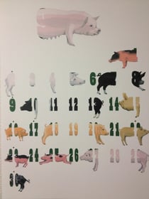 兵庫県神戸のアルマギター教室です。