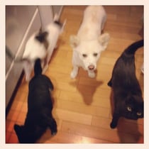 兵庫県のギター教室です。