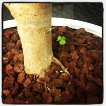 ギター教室・神戸・三ノ宮