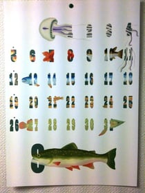 兵庫県アルマギター