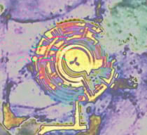 Infrarot-Aufnahme des Geheimdienstes