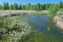 Fällt der Blick über das Dosenmoor bald auf einen Windpark am Horizont?